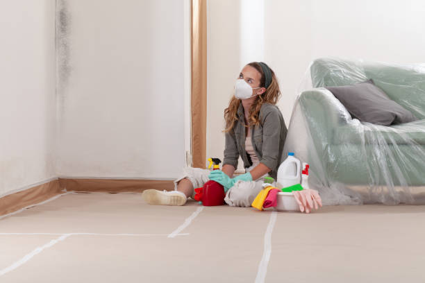 Reliable Basement Mold Removal contractor in Richboro, PA by WQB Mold Removal